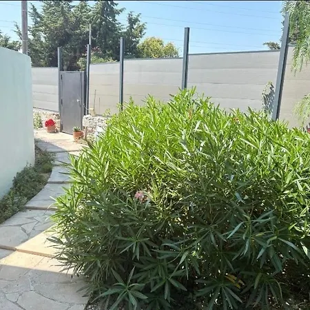Carthage Piscine Parking Gratuit